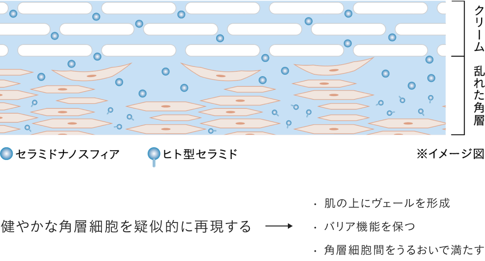 独自技術「ヴァイタサイクルヴェール®」