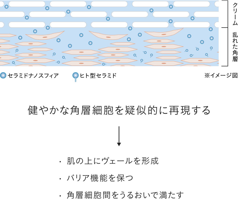 独自技術「ヴァイタサイクルヴェール®」