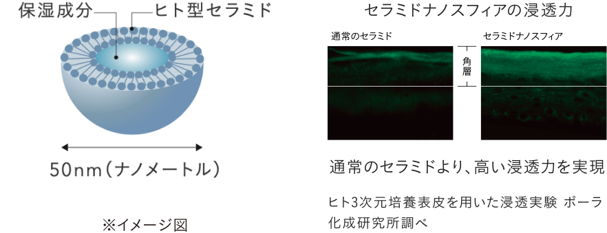 セラミドナノスフィア