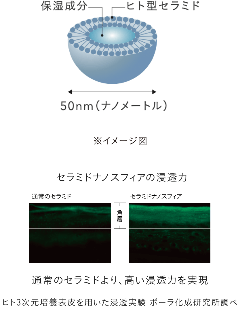 セラミドナノスフィア
