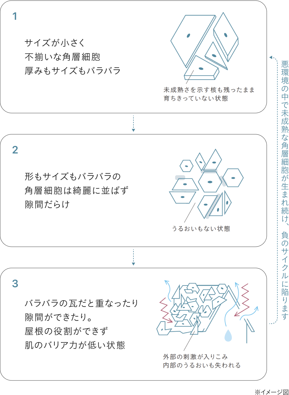 乱れた角層