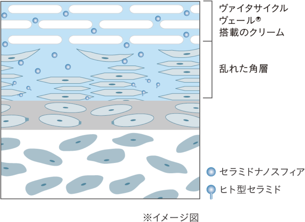 ヴァイタサイクルヴェール®