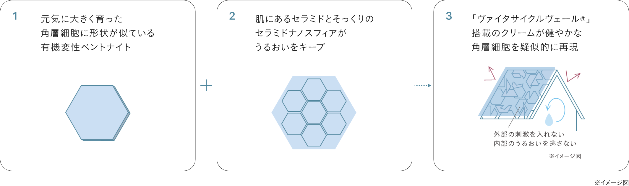 ヴァイタサイクルヴェール®