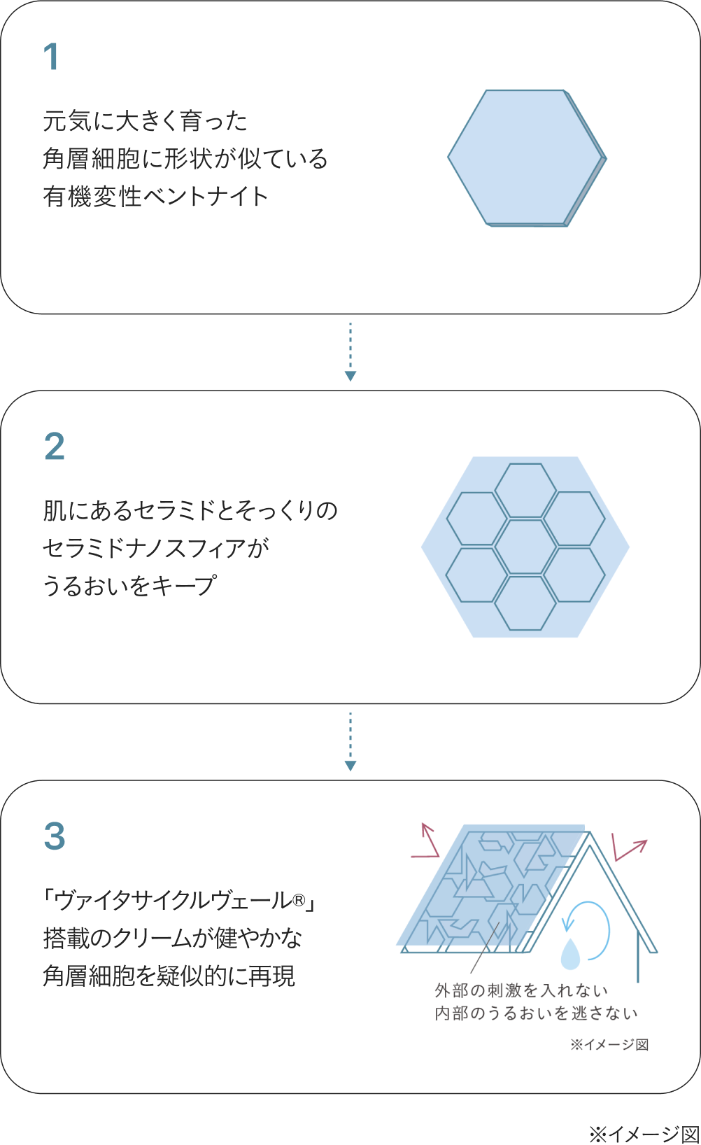 ヴァイタサイクルヴェール®