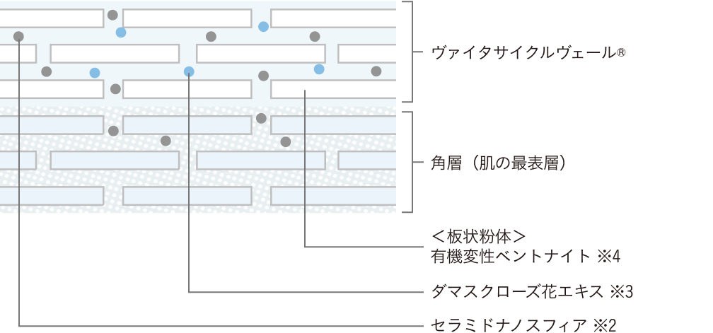 理想的な角層構造に限りなく近い独自技術「ヴァイタサイクルヴェール®」