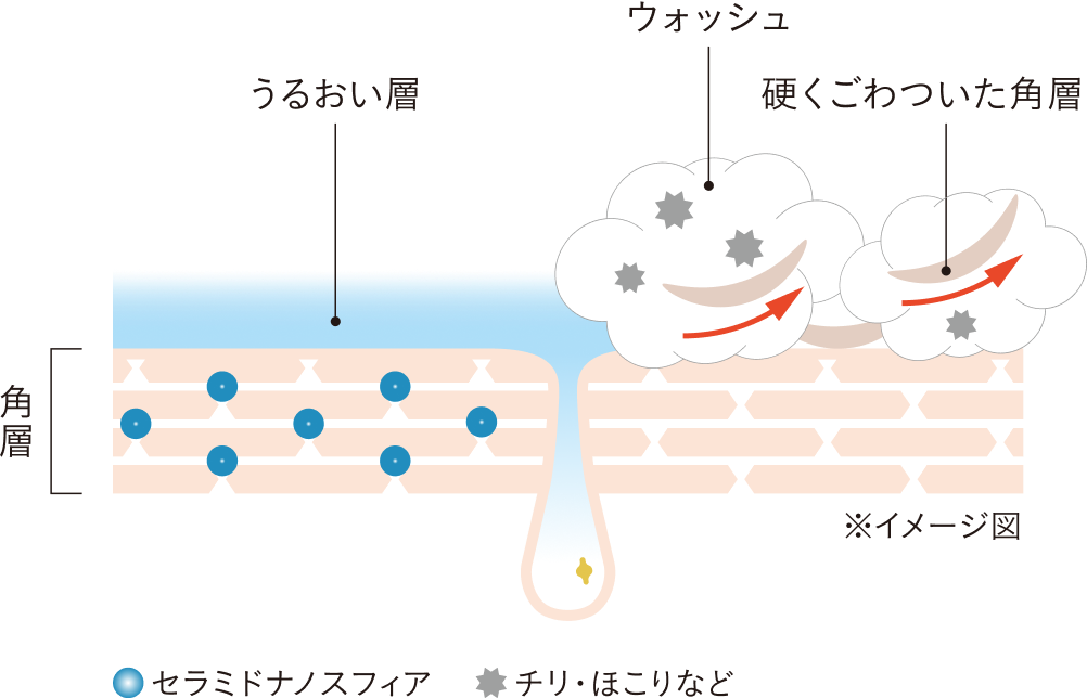 ウォッシュ : ゆるんだ角層を泡に絡めてやさしくオフ