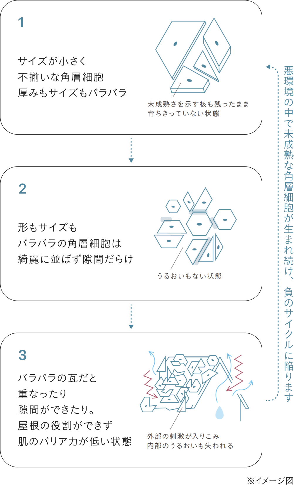 乱れた角層とは？
