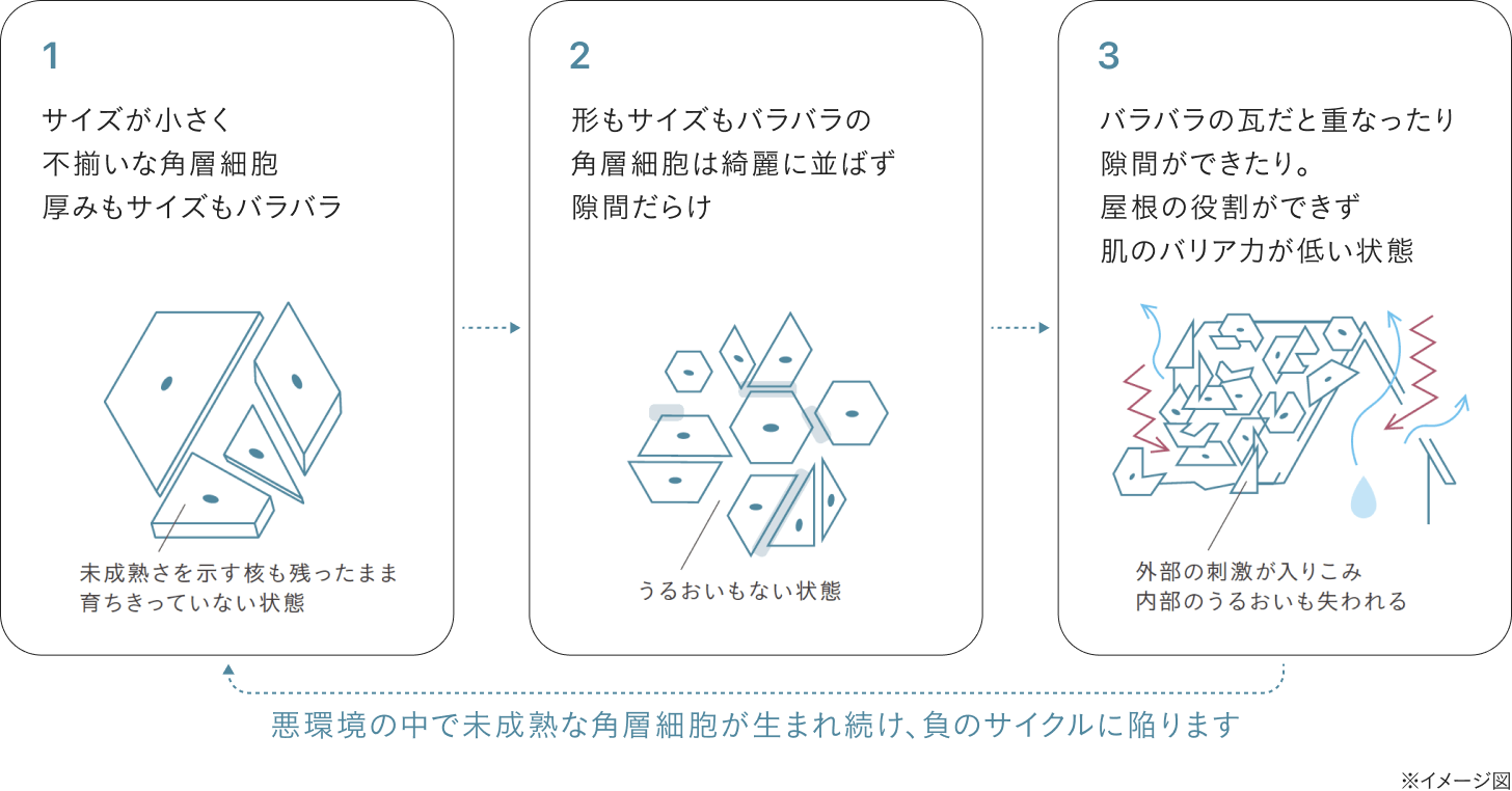 乱れた角層とは？