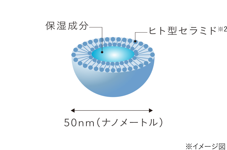 セラミドナノスフィアとは？