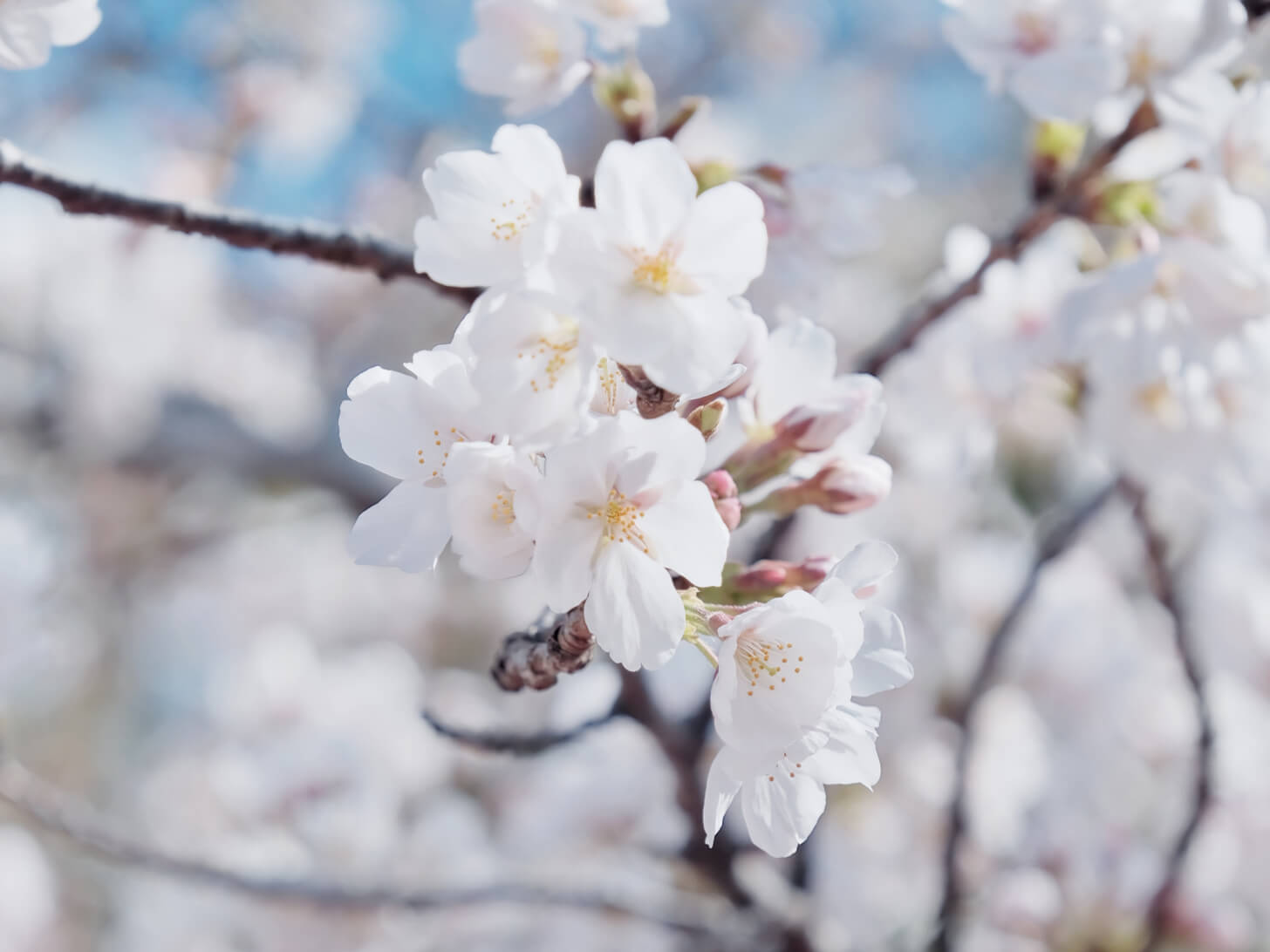 まぶしいシーズンがやってきます。紫外線対策、できること全部！