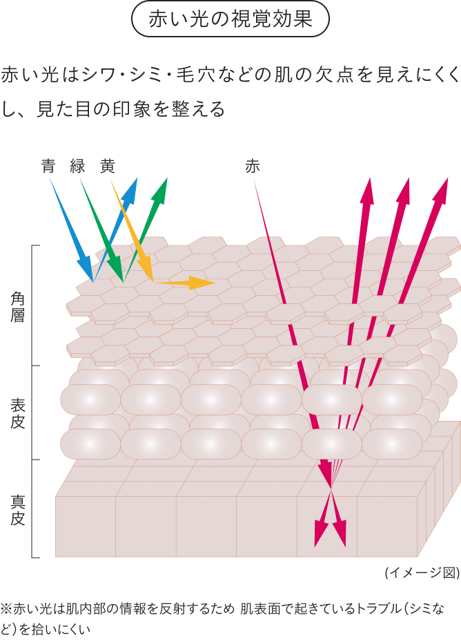 赤い光はシワ・シミ・毛穴などの肌の欠点を見えにくくし、見た目の印象を整える
