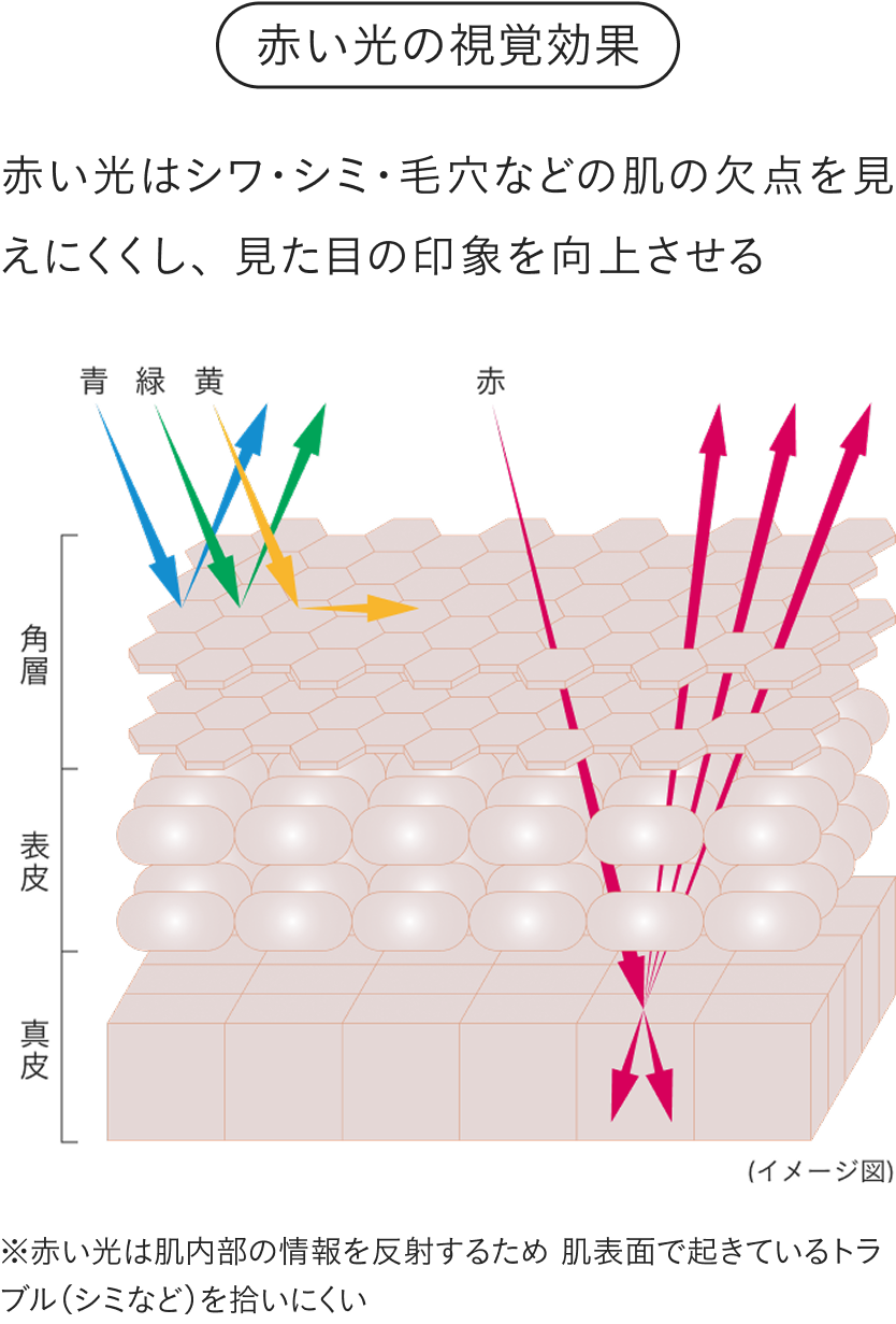 赤い光はシワ・シミ・毛穴などの肌の欠点を見えにくくし、見た目の印象を整える
