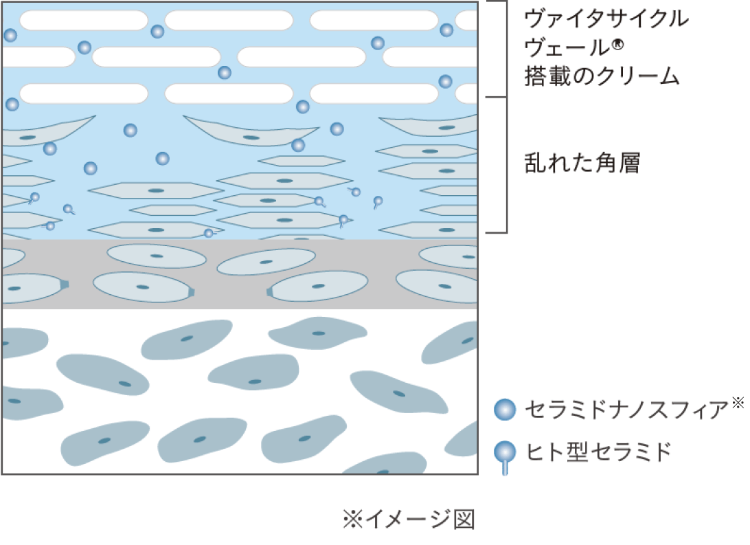 ルールに縛られすぎず、自分の肌の声に正直に。