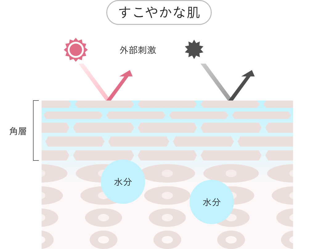 自分のバリア機能を改めて意識してみてください。