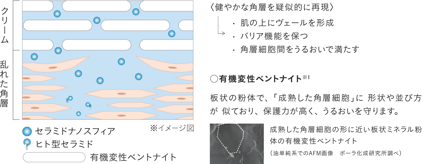 ヴァイタサイクルヴェール®︎