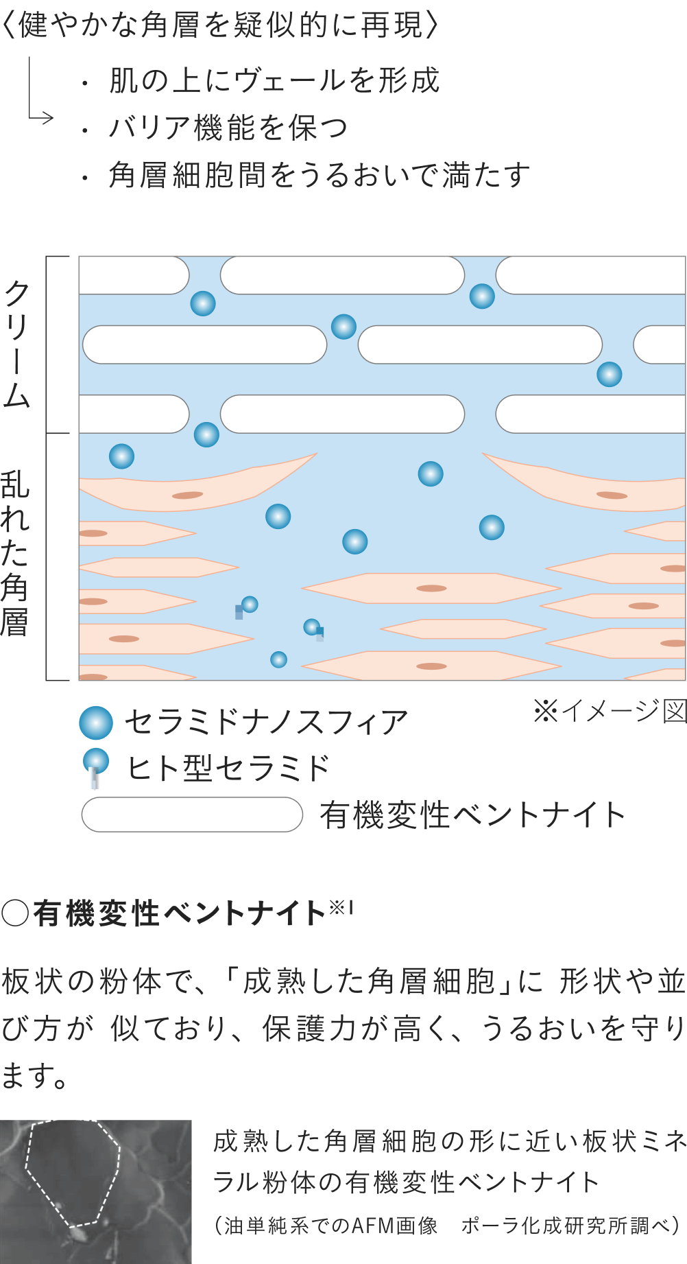 ヴァイタサイクルヴェール®︎