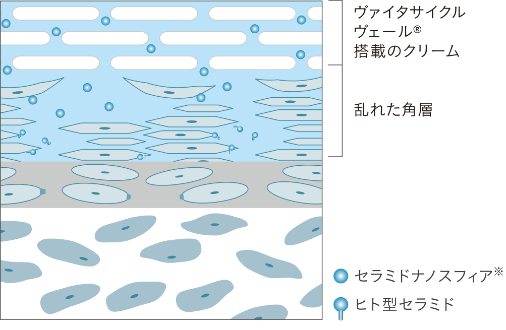 ヴァイタサイクルヴェール®︎とは