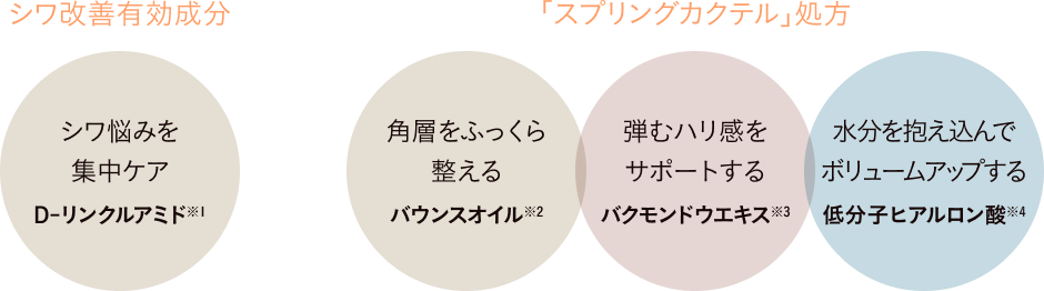 シワ改善有効成分 + 「スプリングカクテル」処方