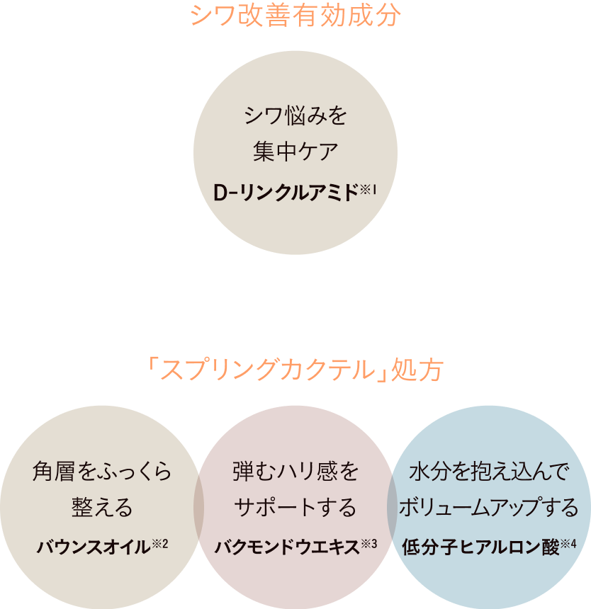 シワ改善有効成分 + 「スプリングカクテル」処方