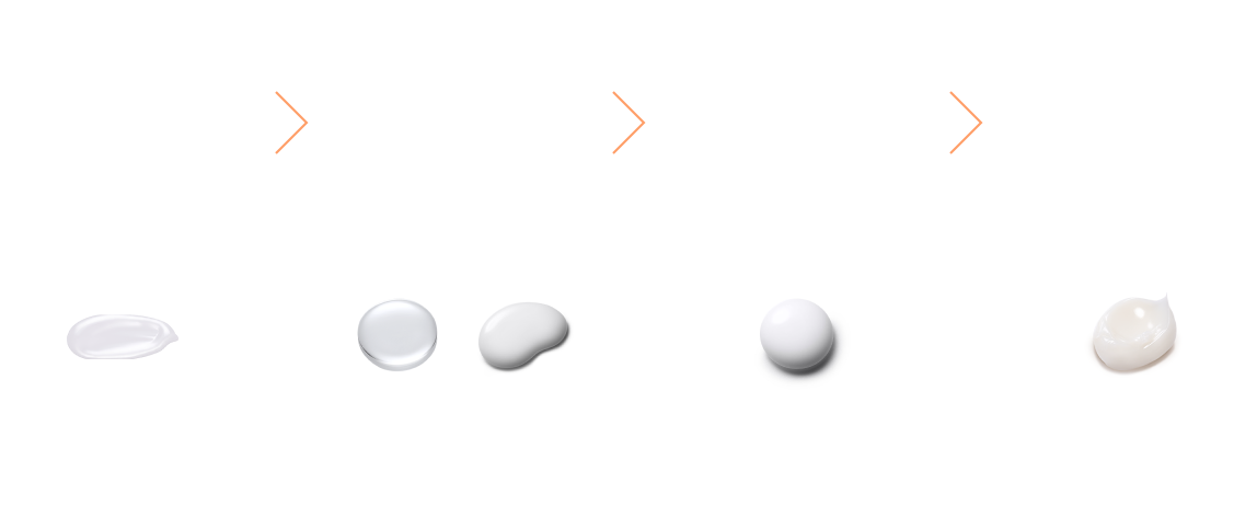 ディセンシア ホリデーキット 2025