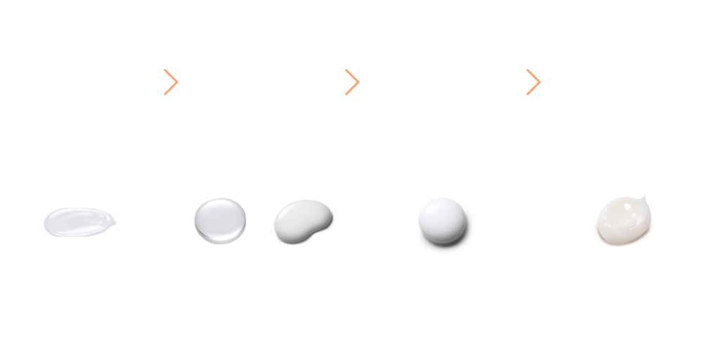 ディセンシア ホリデーキット 2025