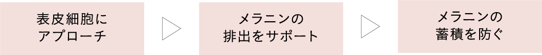 代謝の低下に、どう備える？
