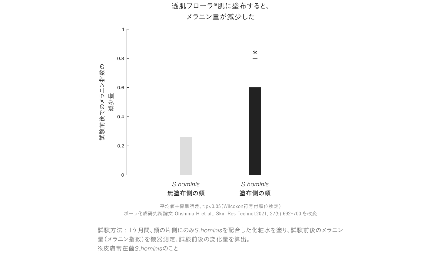 透肌フローラ※（S.hominis）を肌に塗布すると、メラニン量が減少した