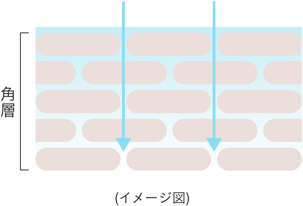 イメージ図