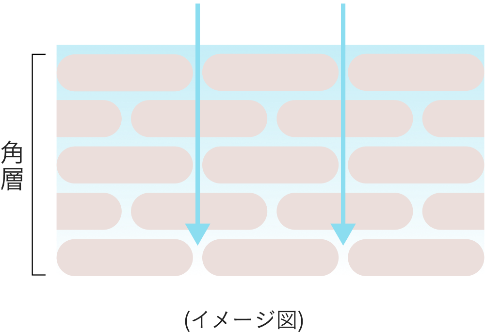 イメージ図