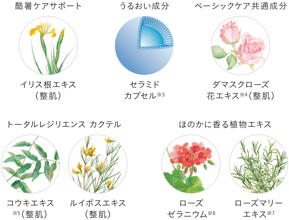肌バテをサポートするこだわりの美容成分