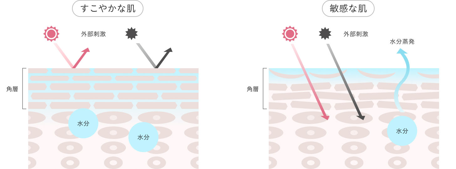 すこやかな肌 敏感な肌のイメージ図
