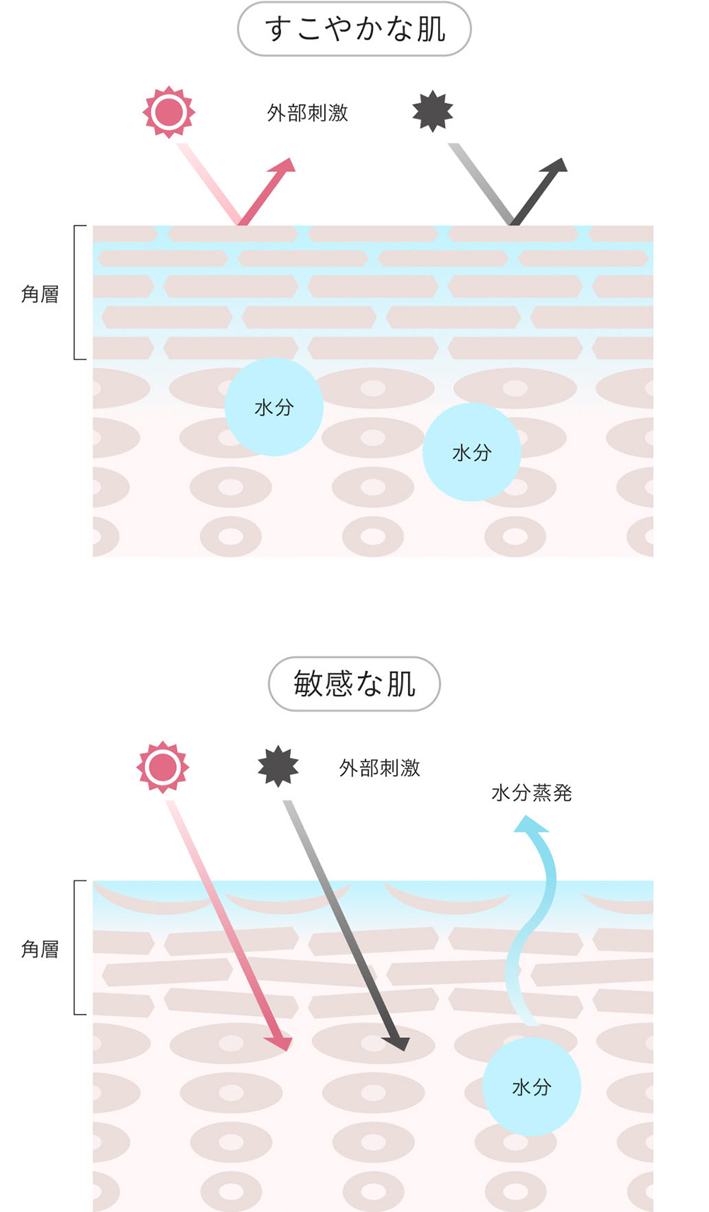 すこやかな肌 敏感な肌のイメージ図