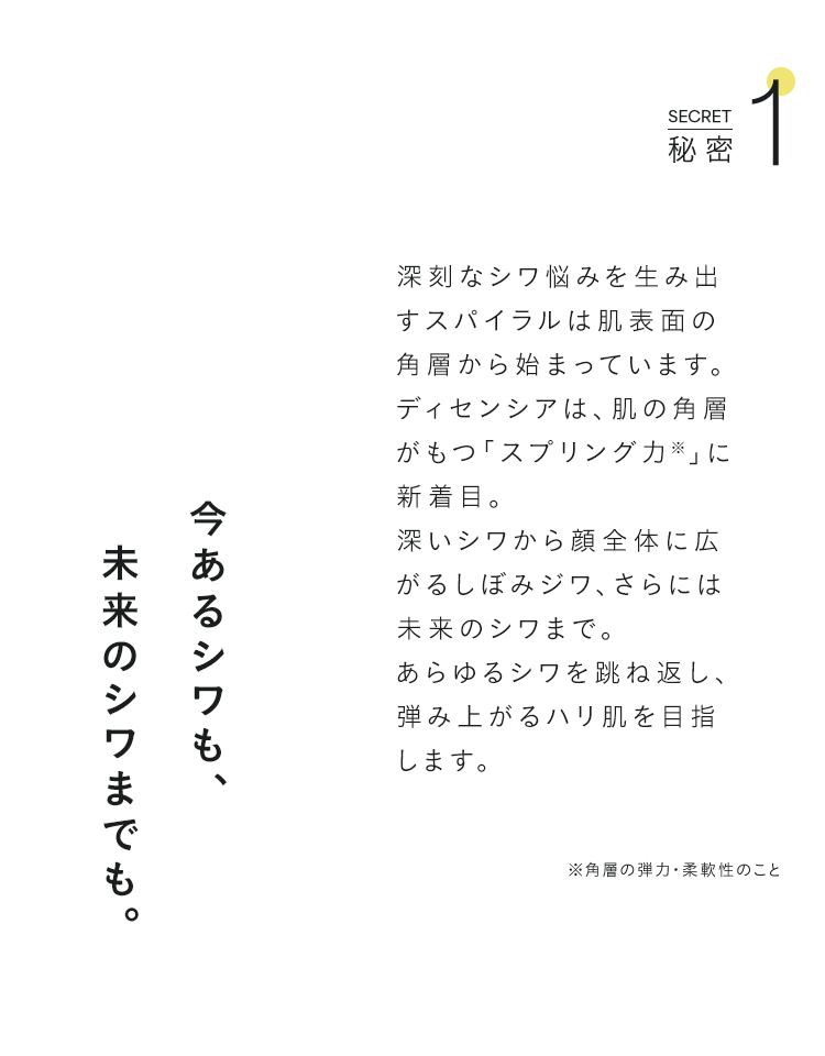 秘密1 今あるシワも、未来のシワまでも。