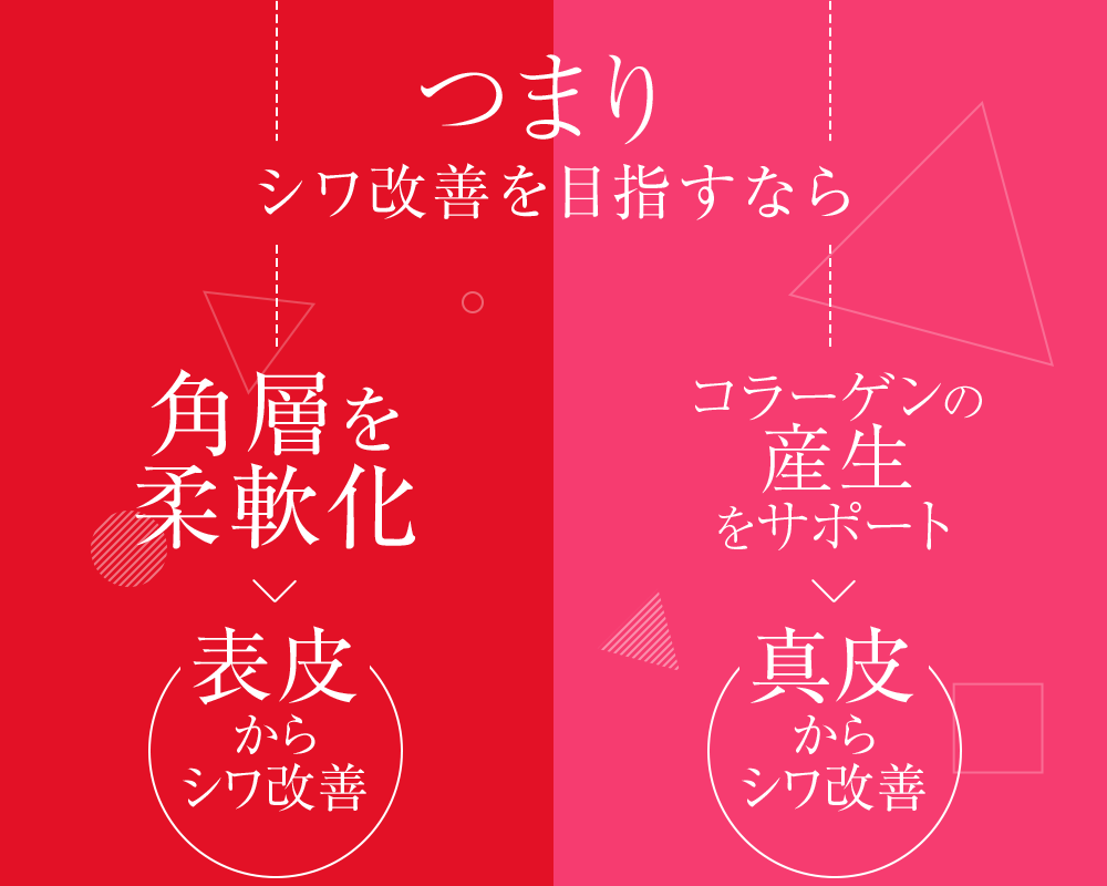 つまりシワ改善を目指すなら角層を柔軟化-表皮からシワ改善 表皮コラーゲンを量産-真皮からシワ改善