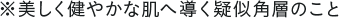 注釈