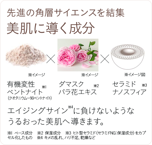 先進の角層サイエンスを結集 美肌に導く成分