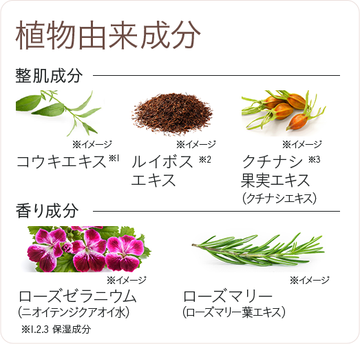 植物由来成分