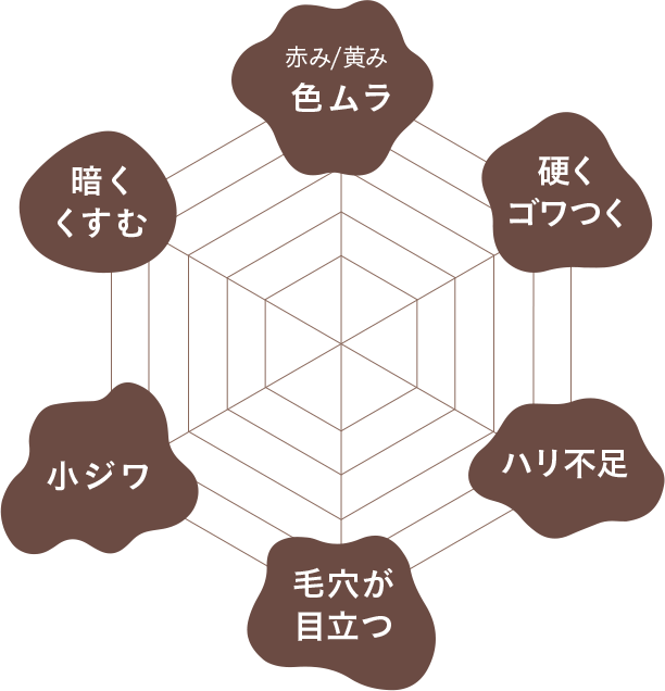色ムラ 硬くゴワつく ハリ不足 毛穴が目立つ 小じわ 暗くくすむ