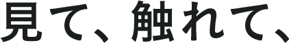 見て、触れて、