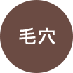 毛穴