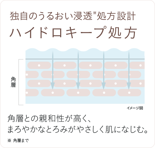 独自のうるおい浸透 処方設計 ハイドロキープ処方