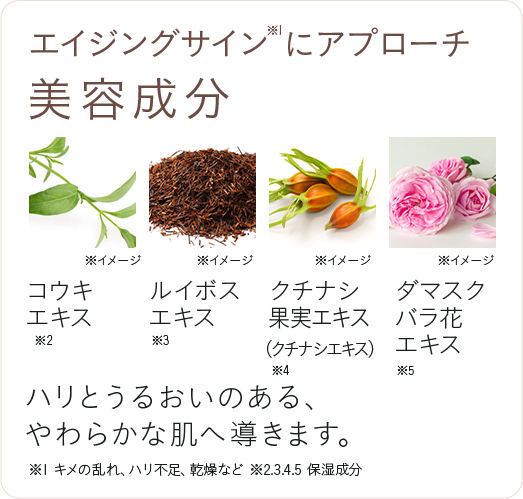 エイジングサインにアプローチ 美容成分
