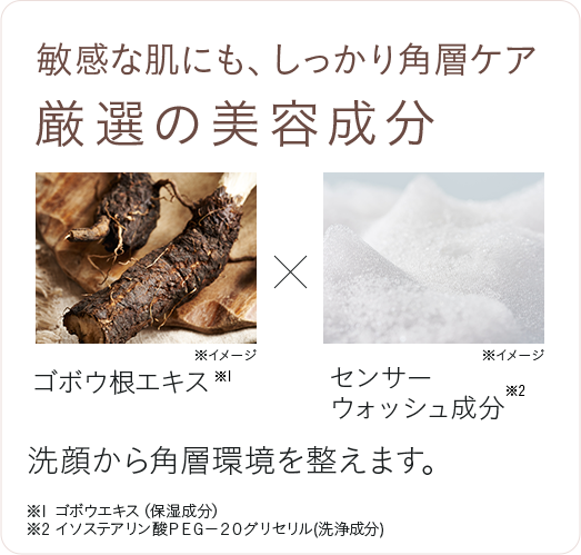 敏感な肌にも、しっかり角層ケア 厳選の美容成分