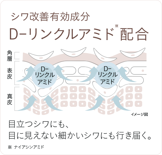 シワ改善有効成分 D-リンクルアミド配合